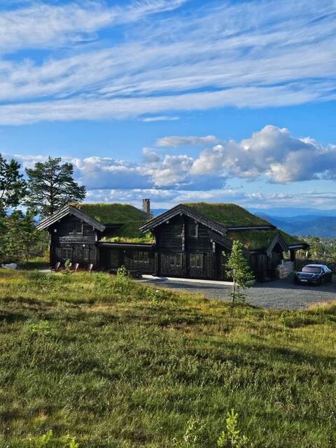 Large and exclusive family cabin on Blefjell