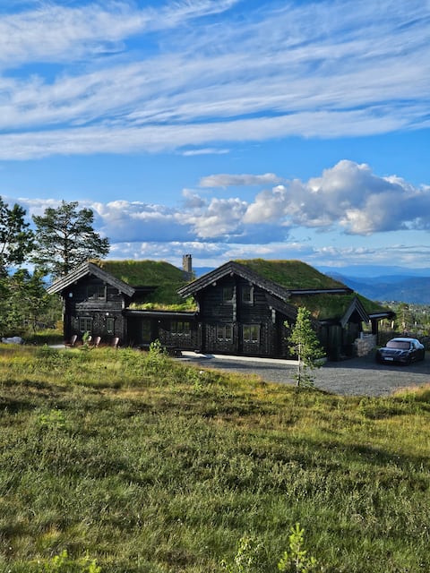 Large and exclusive family cabin on Blefjell