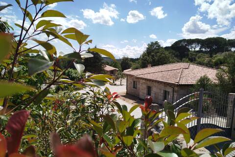 Quinta da Abadia - House of Rio Castelo