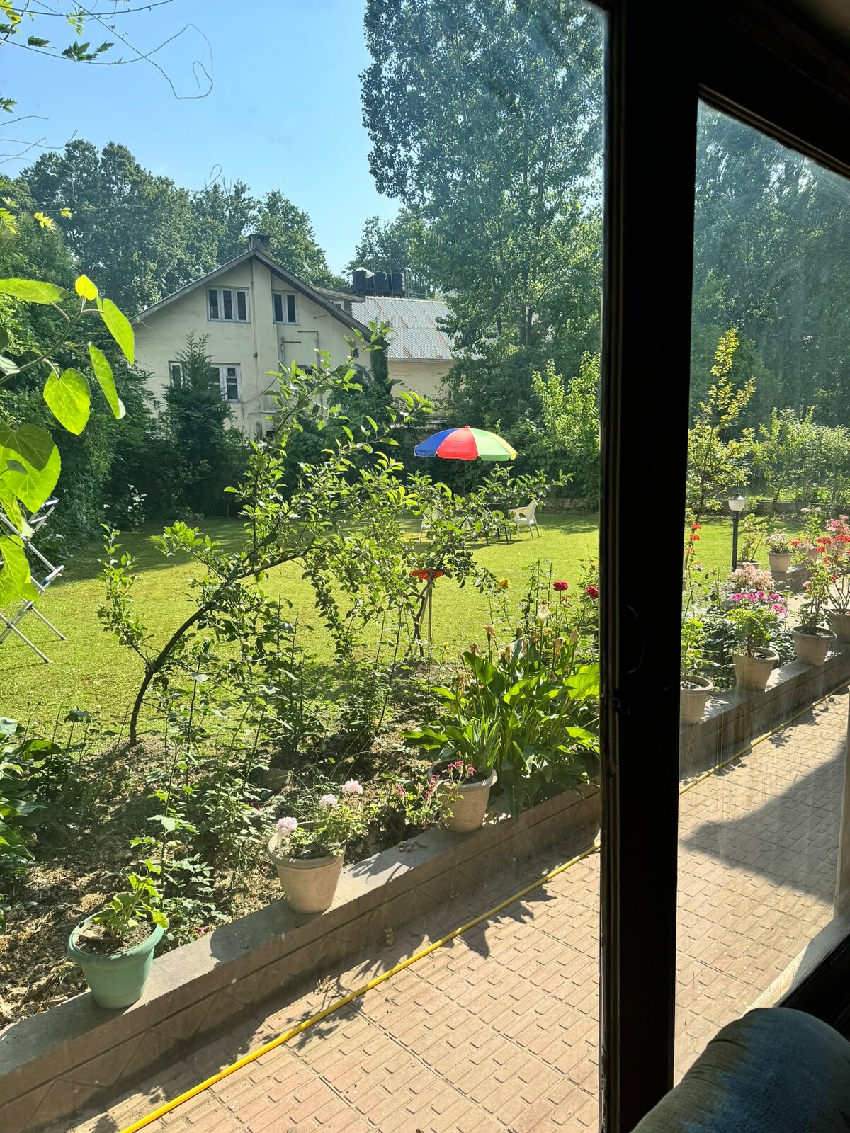 A view from the window frames a vibrant garden filled with flowering plants in pots. A colorful umbrella stands in the grassy yard, while a charming house is visible in the background, surrounded by lush trees and greenery.