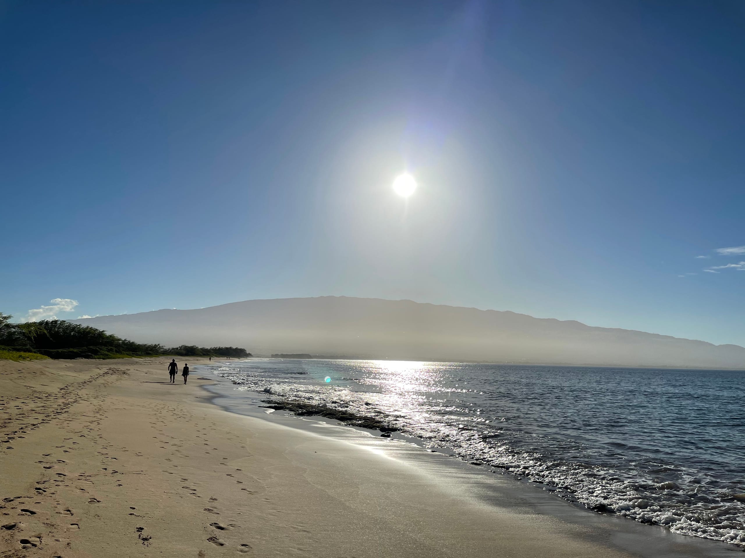 Condo in Kihei · ★4.89 · 1 bedroom · 2 beds · 2 baths - Image 43