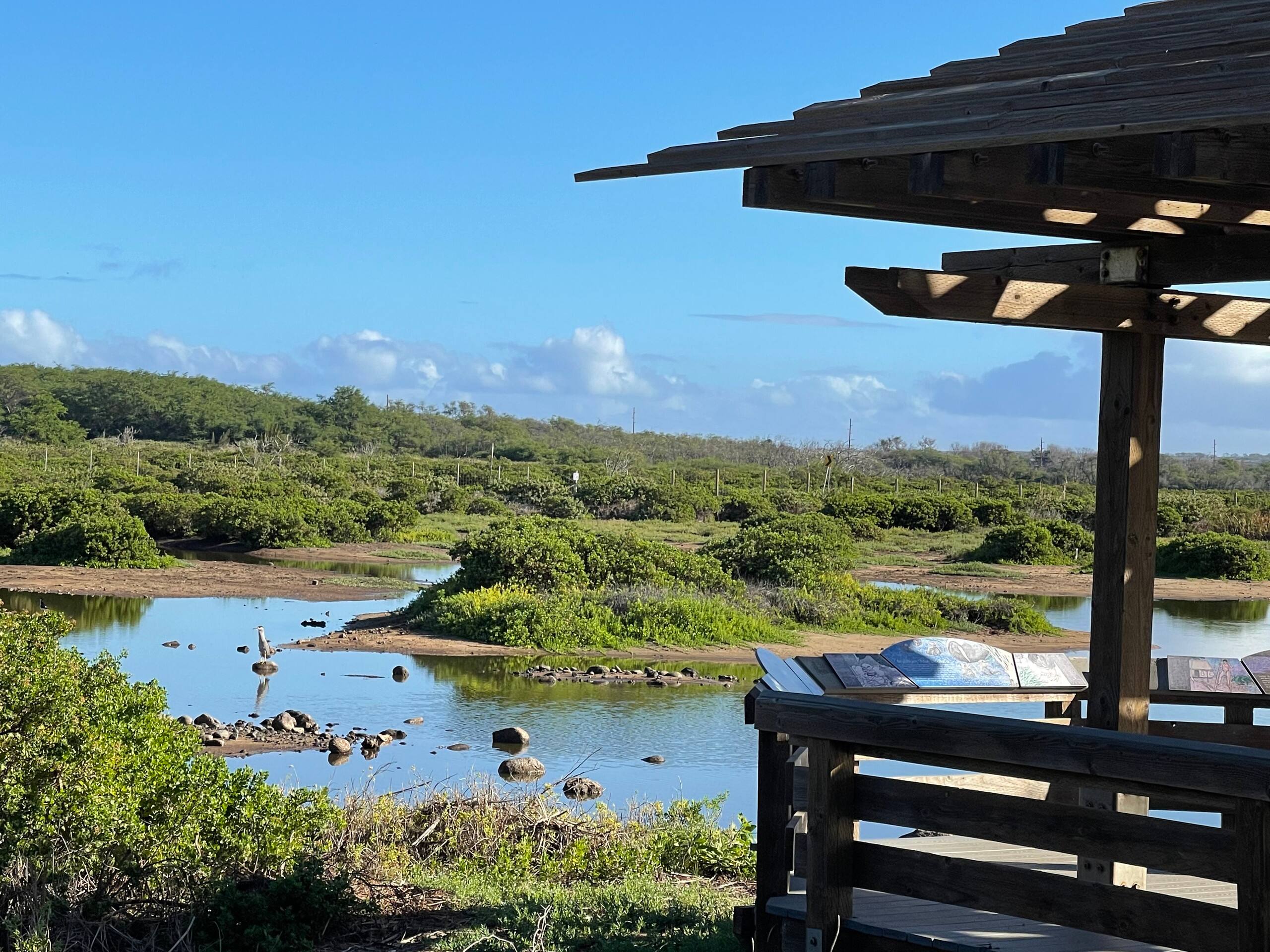 Condo in Kihei · ★4.89 · 1 bedroom · 2 beds · 2 baths - Image 40