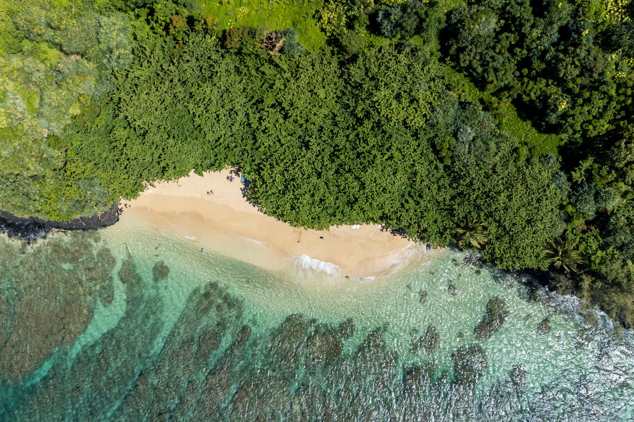 Panoramic Oceanfront Jewel -Bali Hai - Puu Poa 312 - Image 32