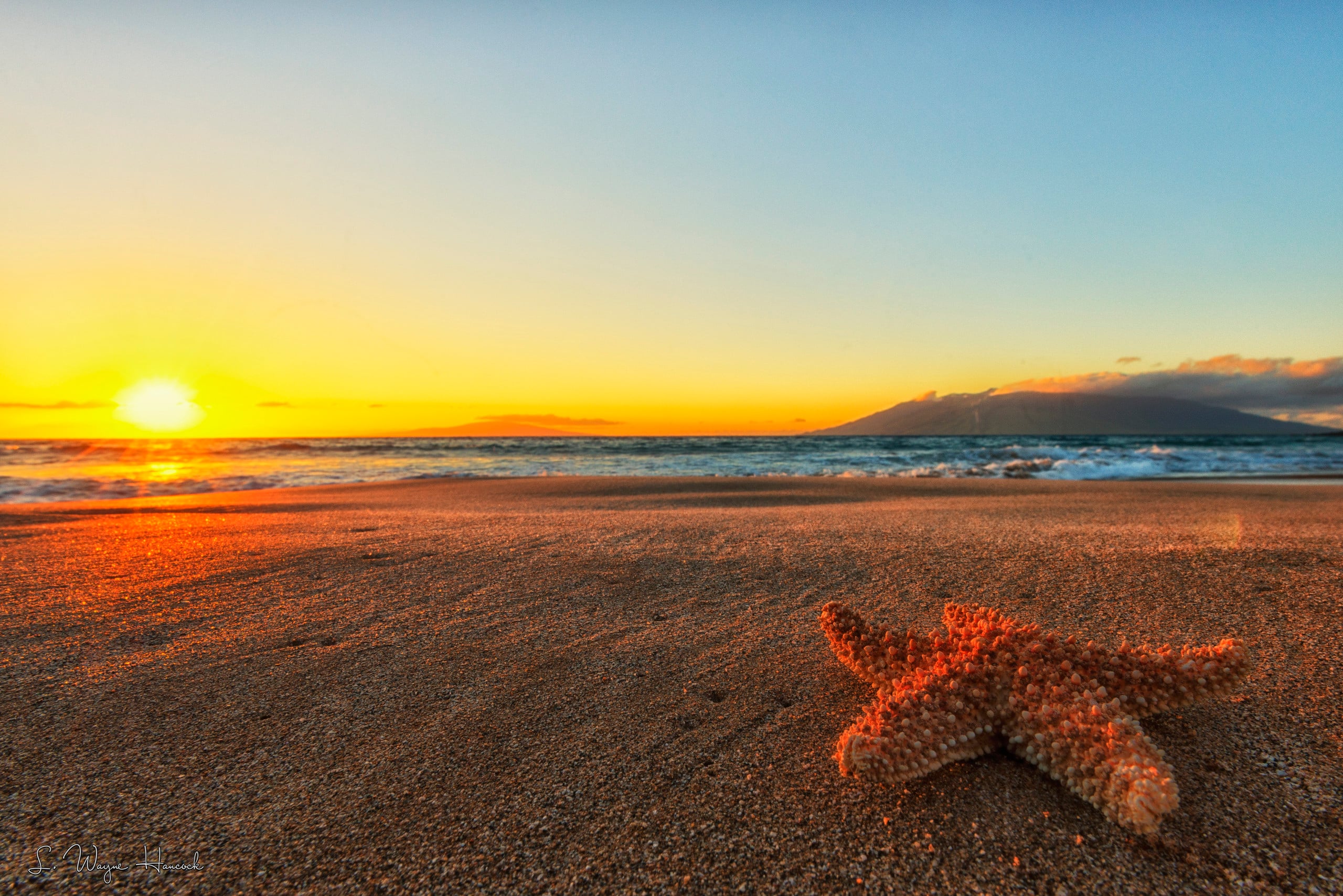 Beachside - Maui Style - Image 24