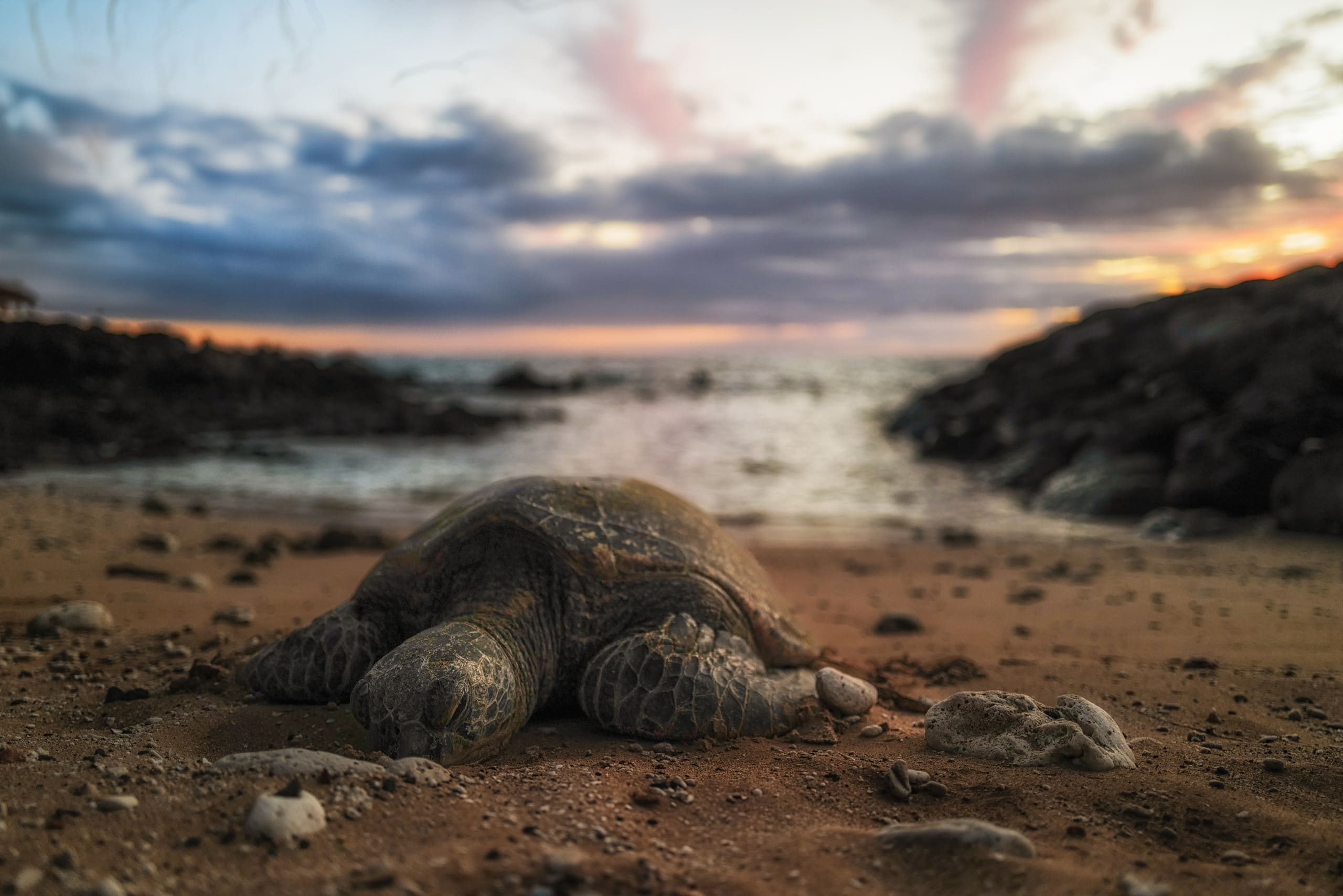 Beachside - Maui Style - Image 26