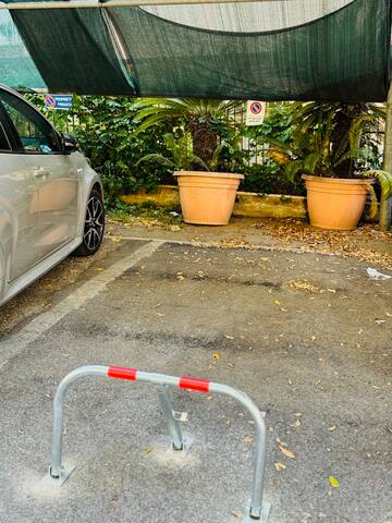 St. Peter’s in the Vatican Giovy Terrace gallery image 4