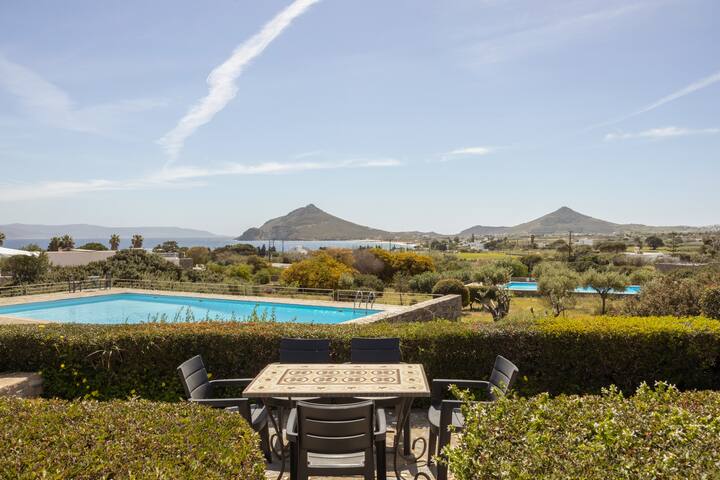 Blue Coral 2 gallery image 2