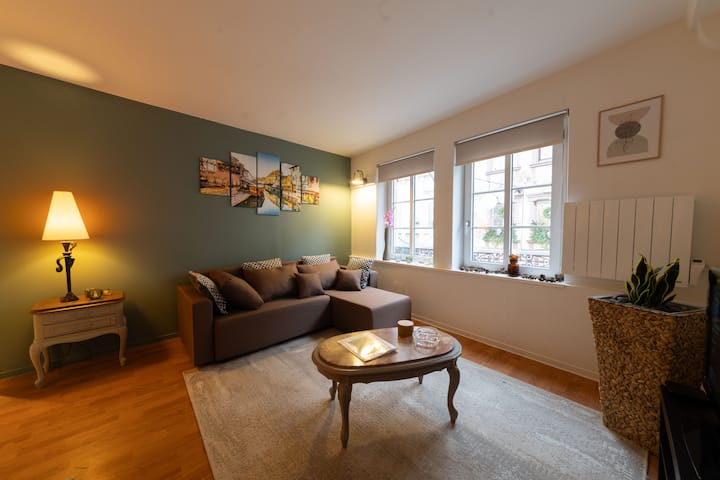 Votre Escale Cosy à Haguenau - Hagenau
