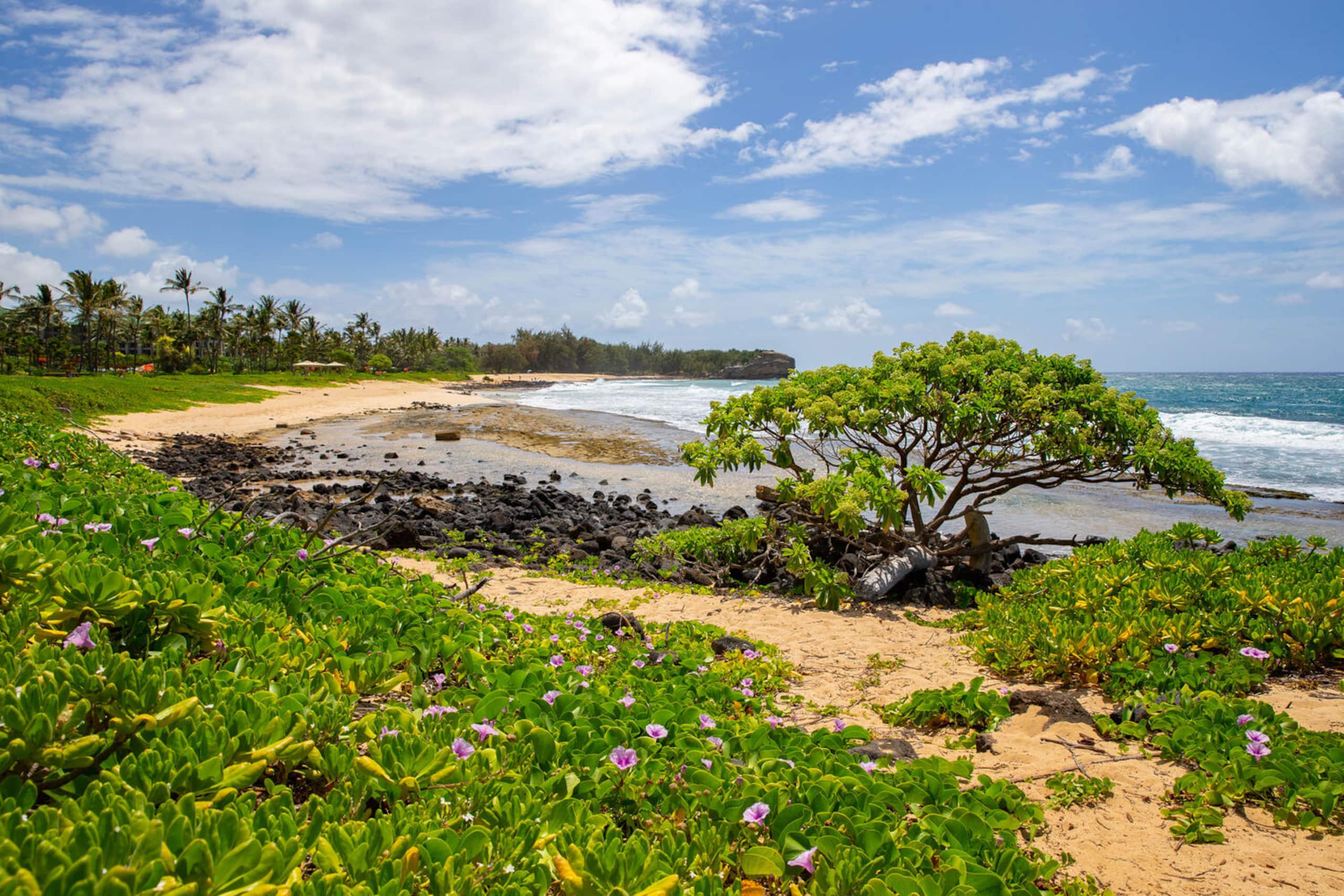 Condo in Koloa · ★4.93 · 2 bedrooms · 5 beds · 2 baths - Photo 78