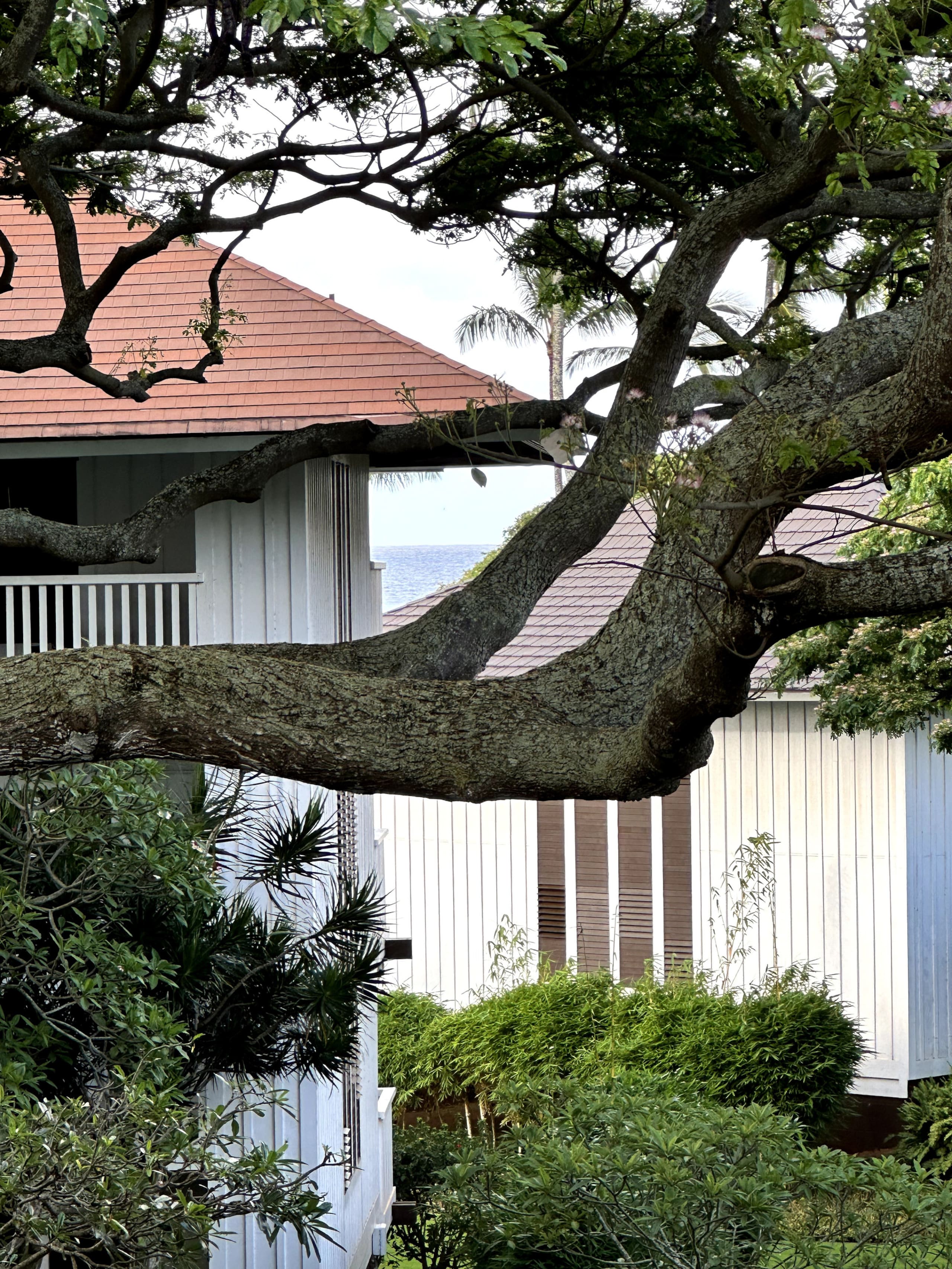 Condo in Koloa · ★4.93 · 2 bedrooms · 5 beds · 2 baths - Photo 52