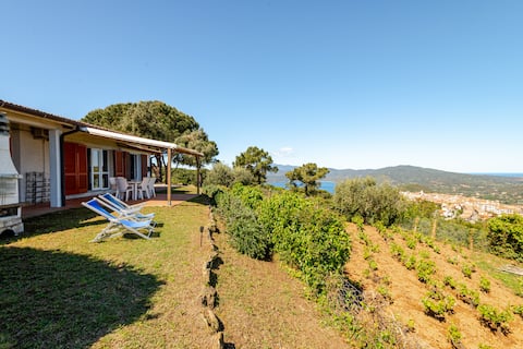 Breathtaking Elba Views • Sea Sunsets