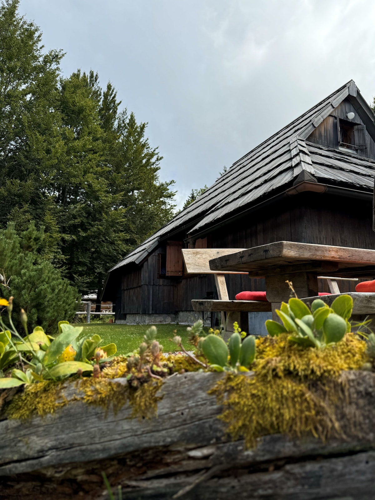 A rustic wooden cottage is surrounded by greenery, featuring a sloped roof and sheltered outdoor seating area. In the foreground, a planter with moss and succulent plants adds a touch of nature. Nearby trees provide a lush backdrop to the tranquil setting.