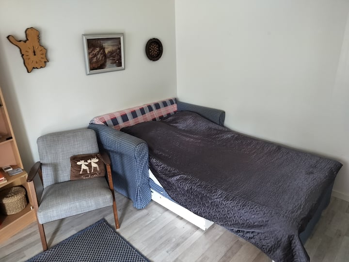 Kitanda cha sofa kilicho na godoro jingine na godoro la ubora wa juu. Ninashukuru na itakuwa vizuri ikiwa kwenye chemchemi utarudisha kitanda mahali pake. 