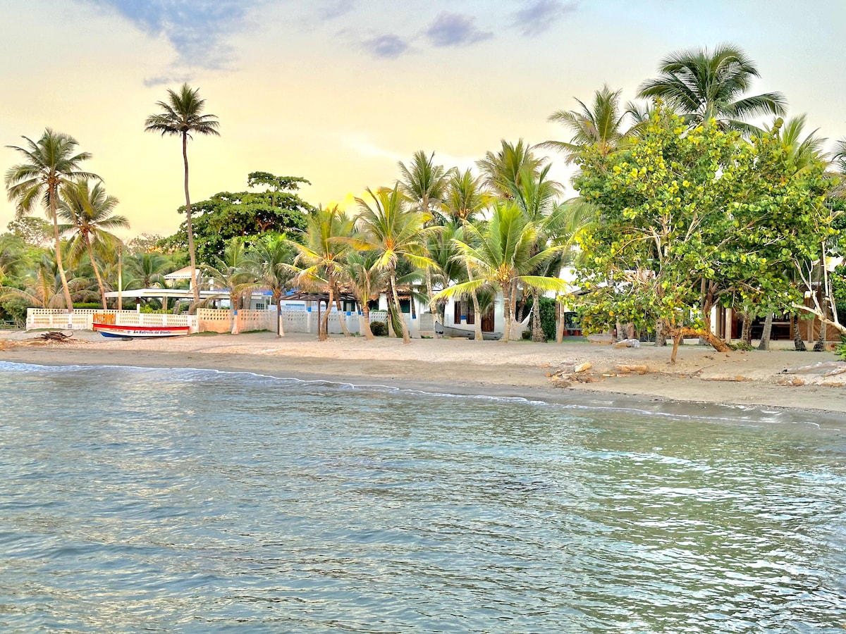 A serene beachfront view is presented, featuring soft sand and gentle waves lapping at the shore. Palm trees are seen lining the coast, creating a natural border, while a small boat rests near the shore. The villa is subtly visible in the background.