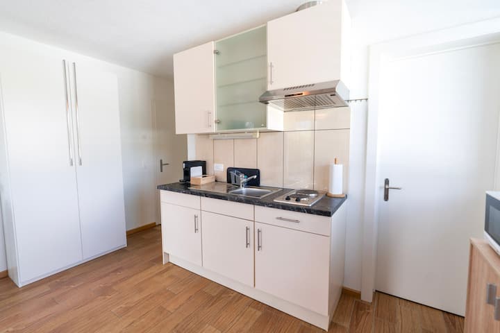 Terrace Apartment Einigen - Spiez