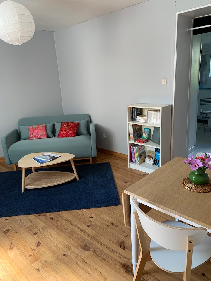 Duplex Indépendant Avec Jardin - Sathonay-Camp