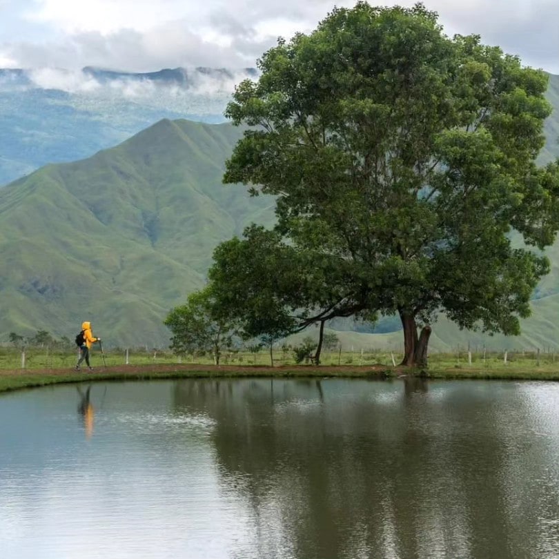 A person walks along a pathway near a tranquil pond, surrounded by rolling green hills and a solitary tree. The still water reflects the landscape, creating a serene atmosphere with clouds partially covering the mountains in the background.