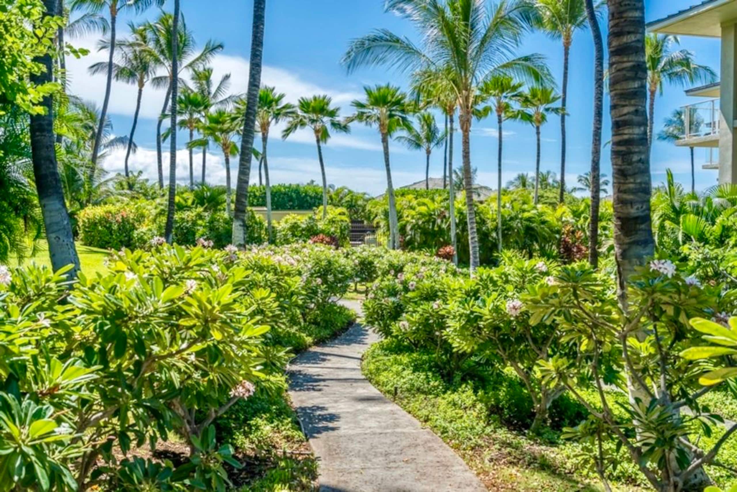 Condo in Waikoloa Village · ★4.8 · 2 bedrooms · 3 beds · 2 baths - Photo 25