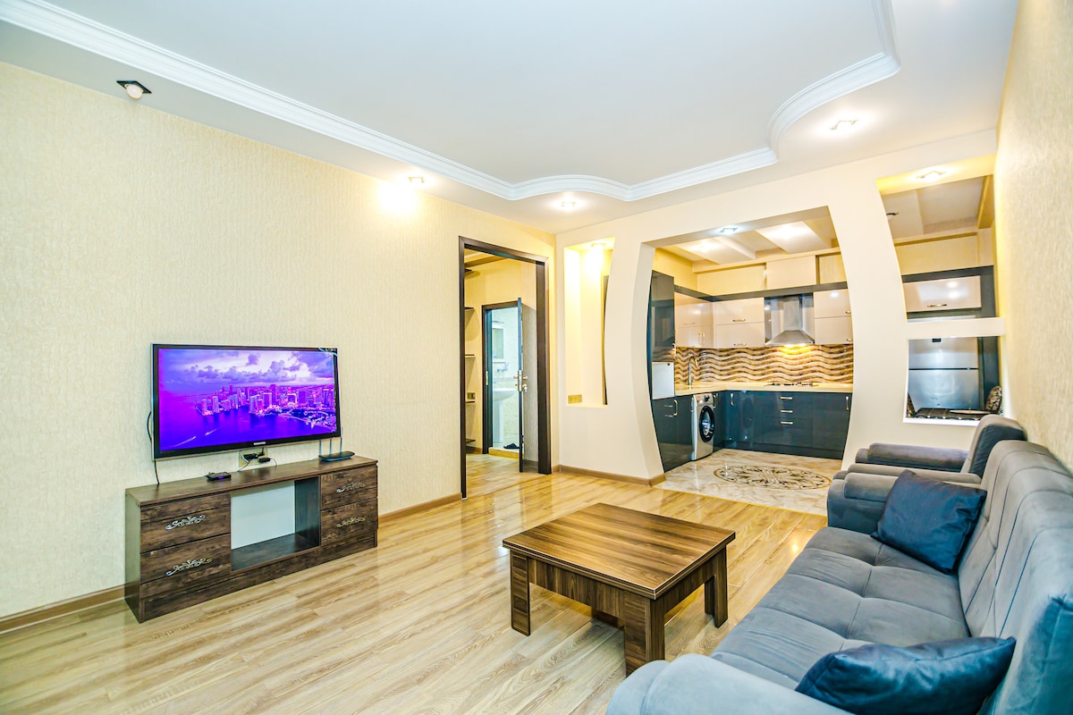 A spacious living area features a comfortable sofa and a wooden coffee table. A flat-screen TV is positioned against the light-colored wall. The adjacent kitchen area, visible in the background, includes sleek cabinetry and modern appliances, creating a cohesive design.