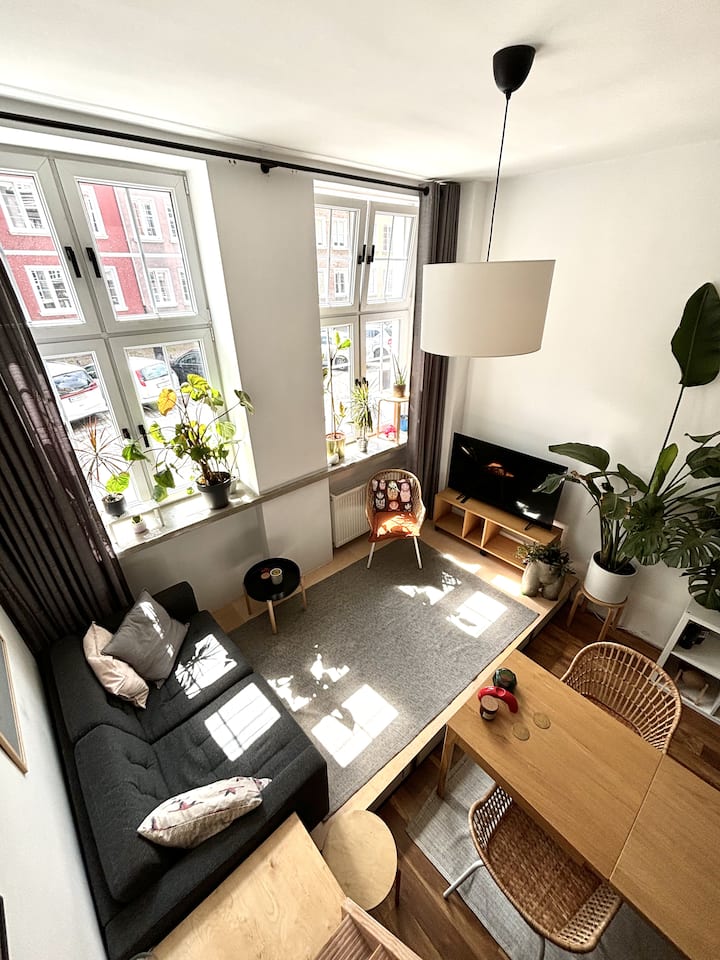 Schopenhauer Apartment - Gdańsk
