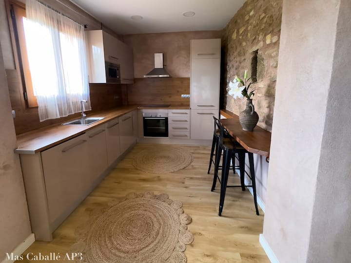 Mas Caballé Luxury3 Lujoso Apartamento En Pedrinyà - Besalú