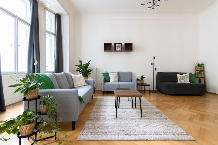 Spacious cosy flat 1min from Old Town Square