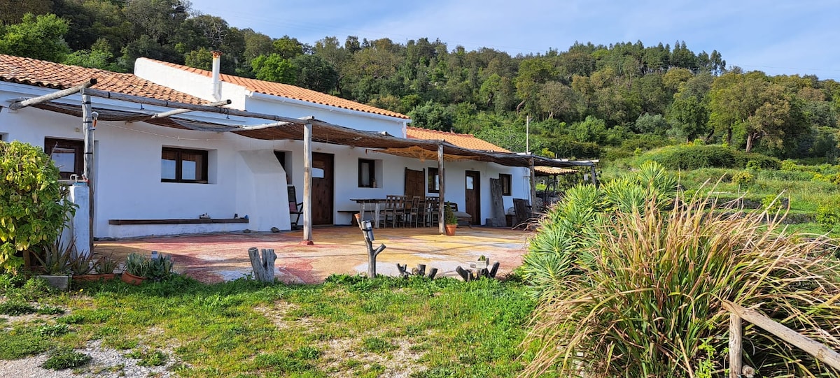 The exterior of the property is showcased, featuring a spacious terrace with wooden beams and a variety of outdoor seating. Lush greenery surrounds the house, and gentle slopes of the hillside can be seen in the background under a clear blue sky.