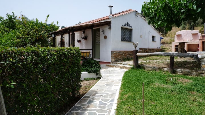 Villa Kalyvi - Skiathos