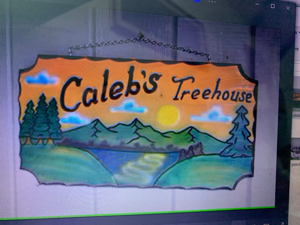 A decorative sign featuring the name 'Caleb's Treehouse' is displayed. The sign is vividly painted with a scenic landscape, including mountains and a river, under a bright sun. Green trees frame the design, creating a playful yet inviting feel.