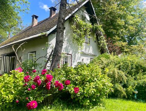 "Alte Bienenzucht" in Rosental, Carinthia