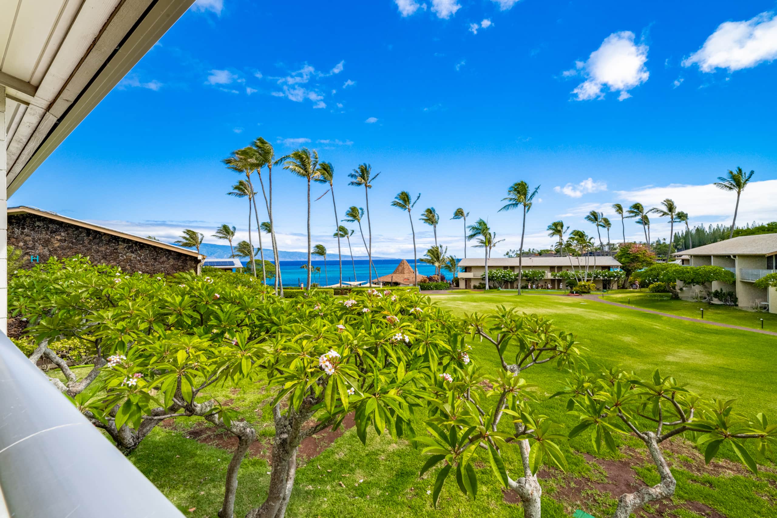 Condo in Lahaina · ★4.98 · Studio · 1 bed · 1 bath - Image 35