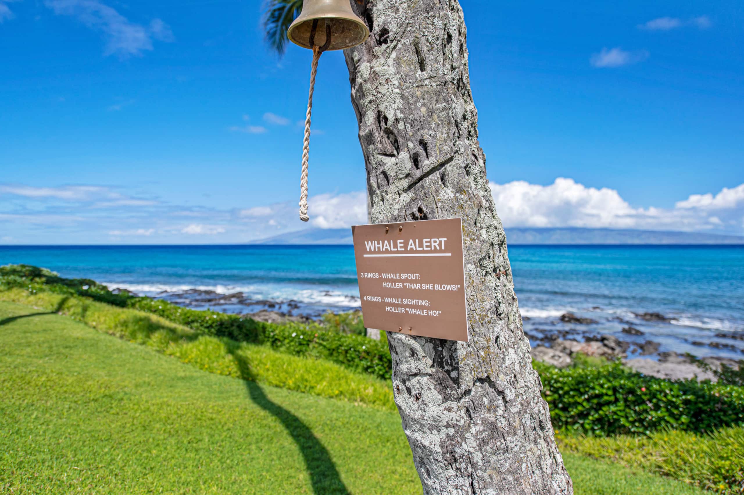 Condo in Lahaina · ★4.98 · Studio · 1 bed · 1 bath - Image 46