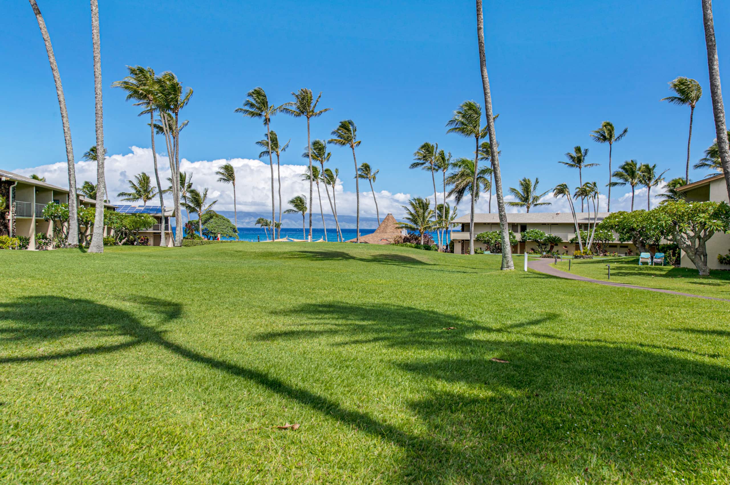 Condo in Lahaina · ★4.98 · Studio · 1 bed · 1 bath - Image 43