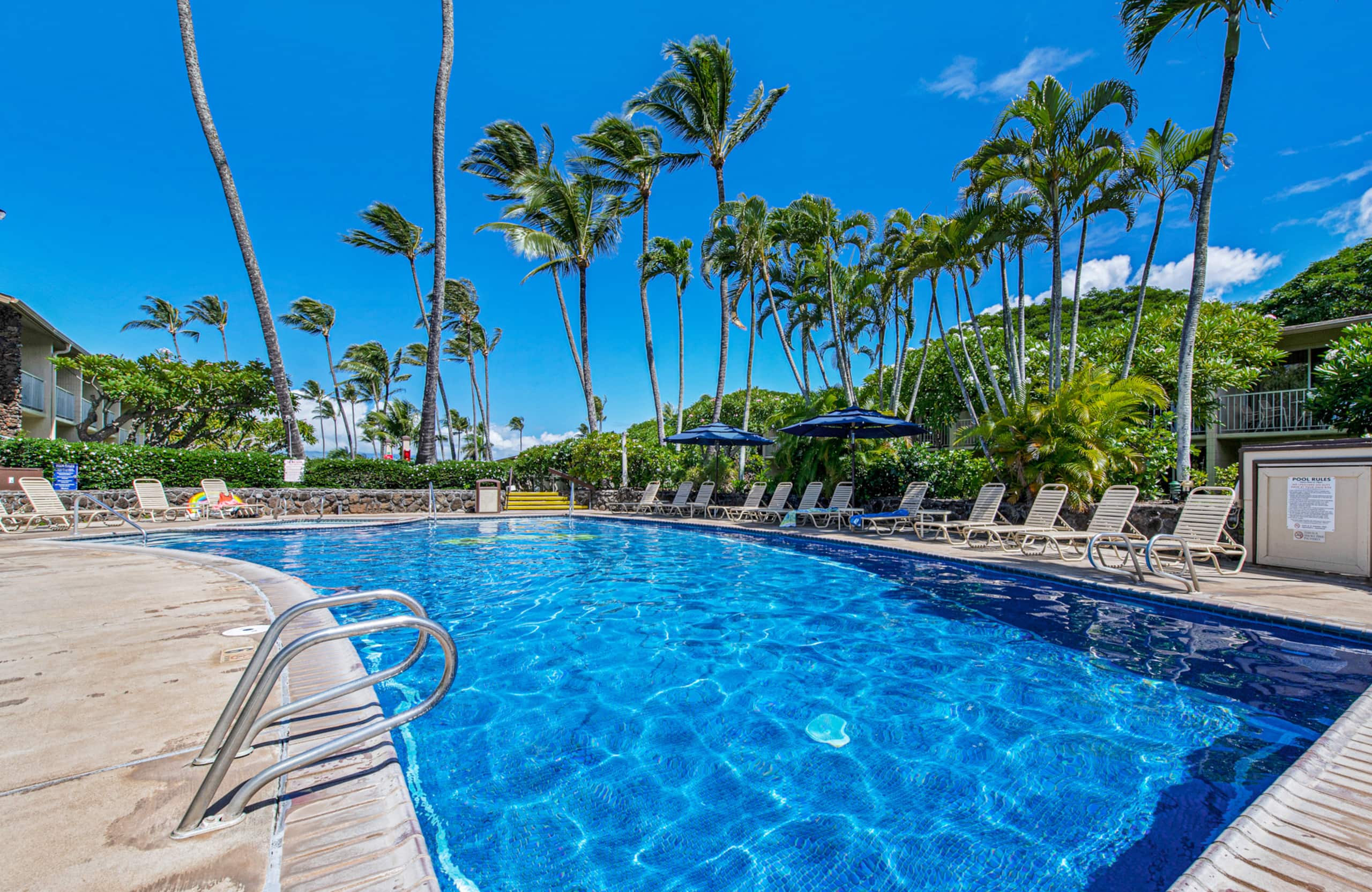 Condo in Lahaina · ★4.98 · Studio · 1 bed · 1 bath - Image 52