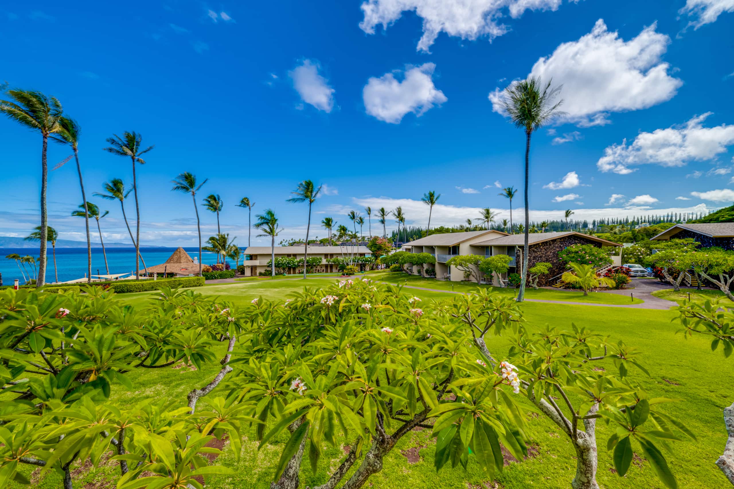 Condo in Lahaina · ★4.98 · Studio · 1 bed · 1 bath - Image 31