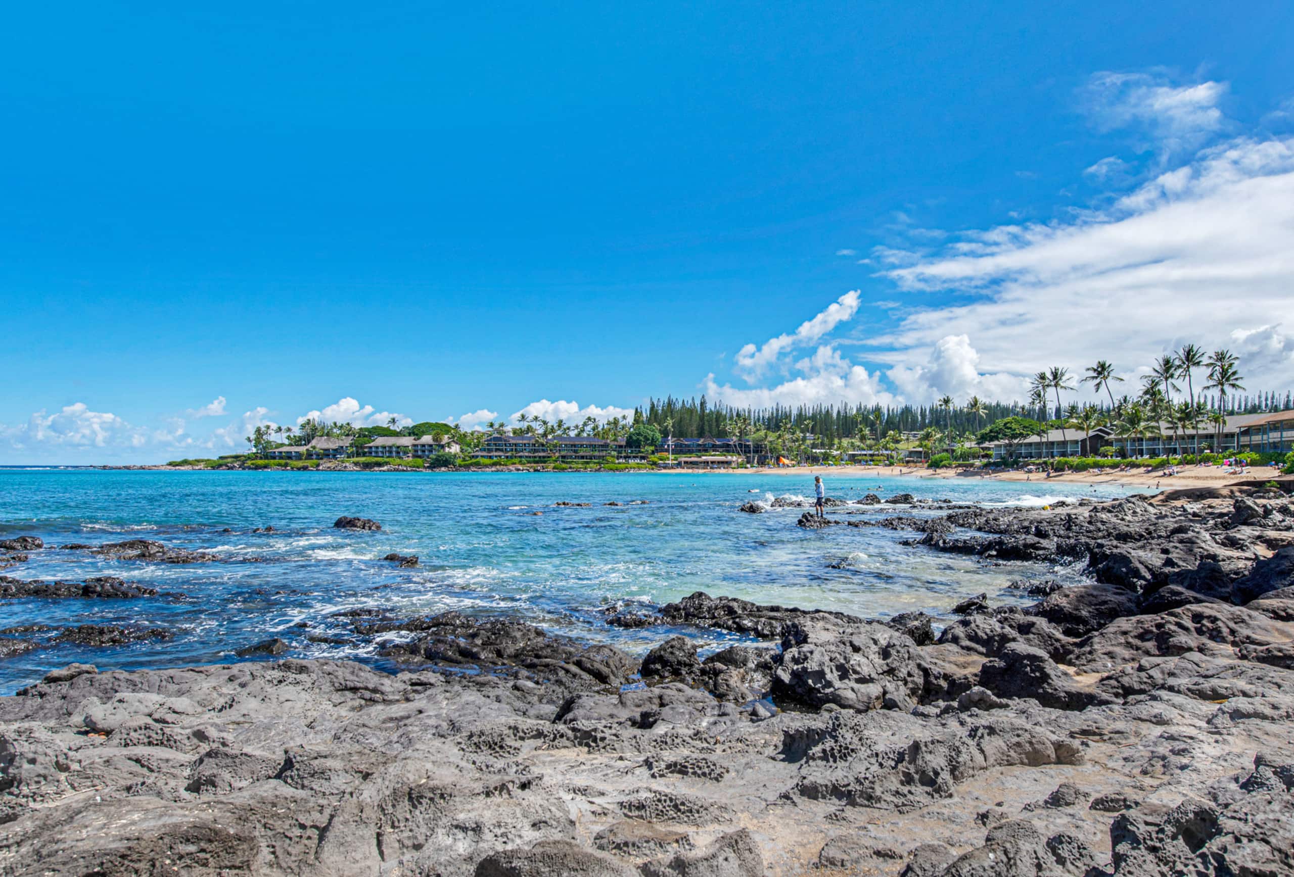 Condo in Lahaina · ★4.98 · Studio · 1 bed · 1 bath - Image 47