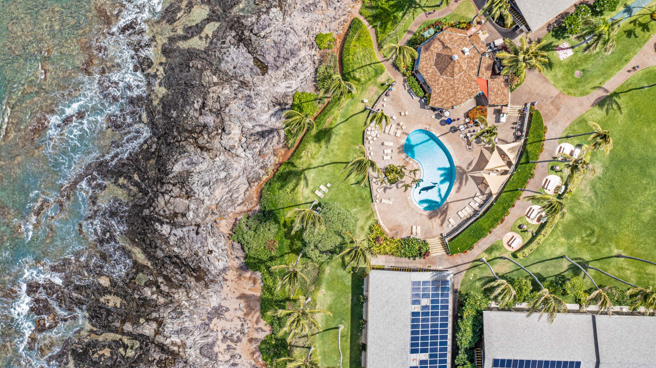 Condo in Lahaina · ★4.98 · Studio · 1 bed · 1 bath - Image 41