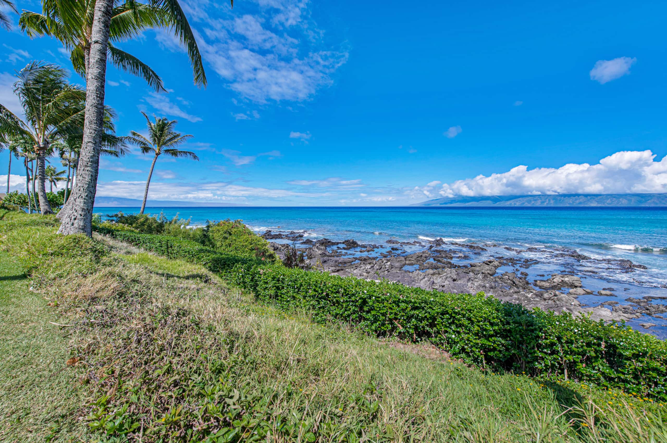Condo in Lahaina · ★4.98 · Studio · 1 bed · 1 bath - Image 49