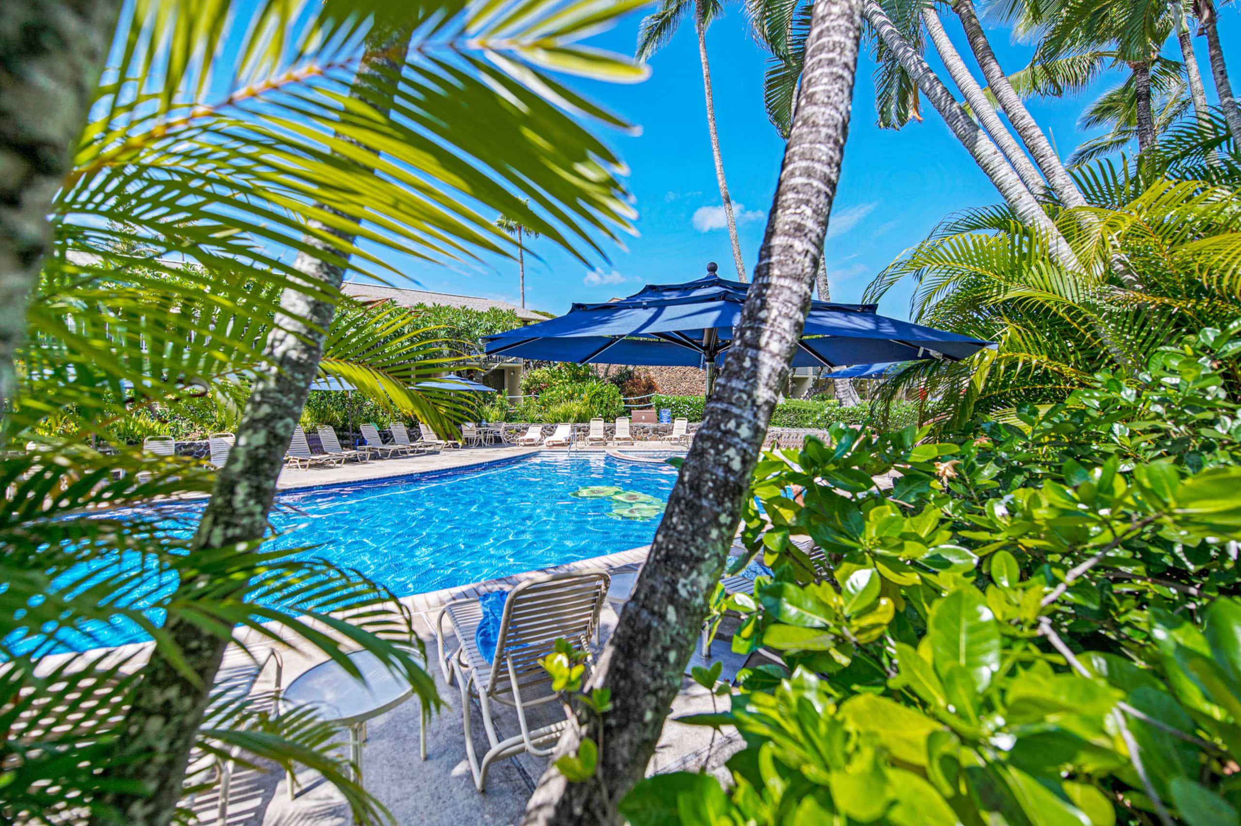 Condo in Lahaina · ★4.98 · Studio · 1 bed · 1 bath - Image 53