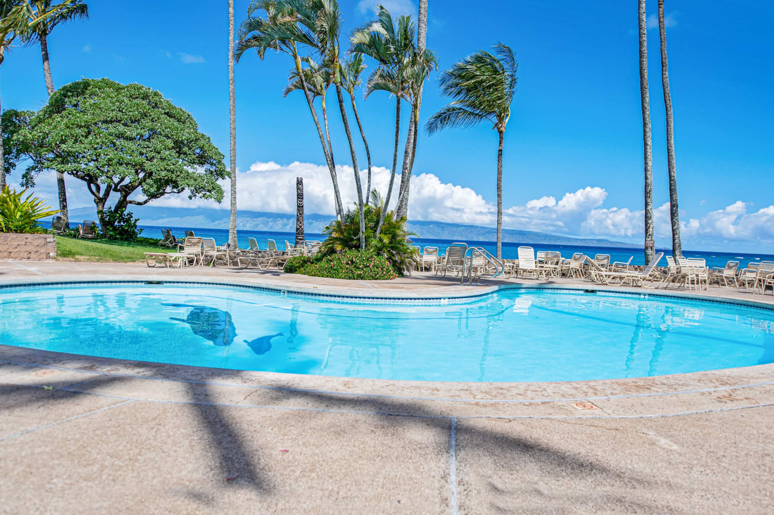 Condo in Lahaina · ★4.98 · Studio · 1 bed · 1 bath - Image 54