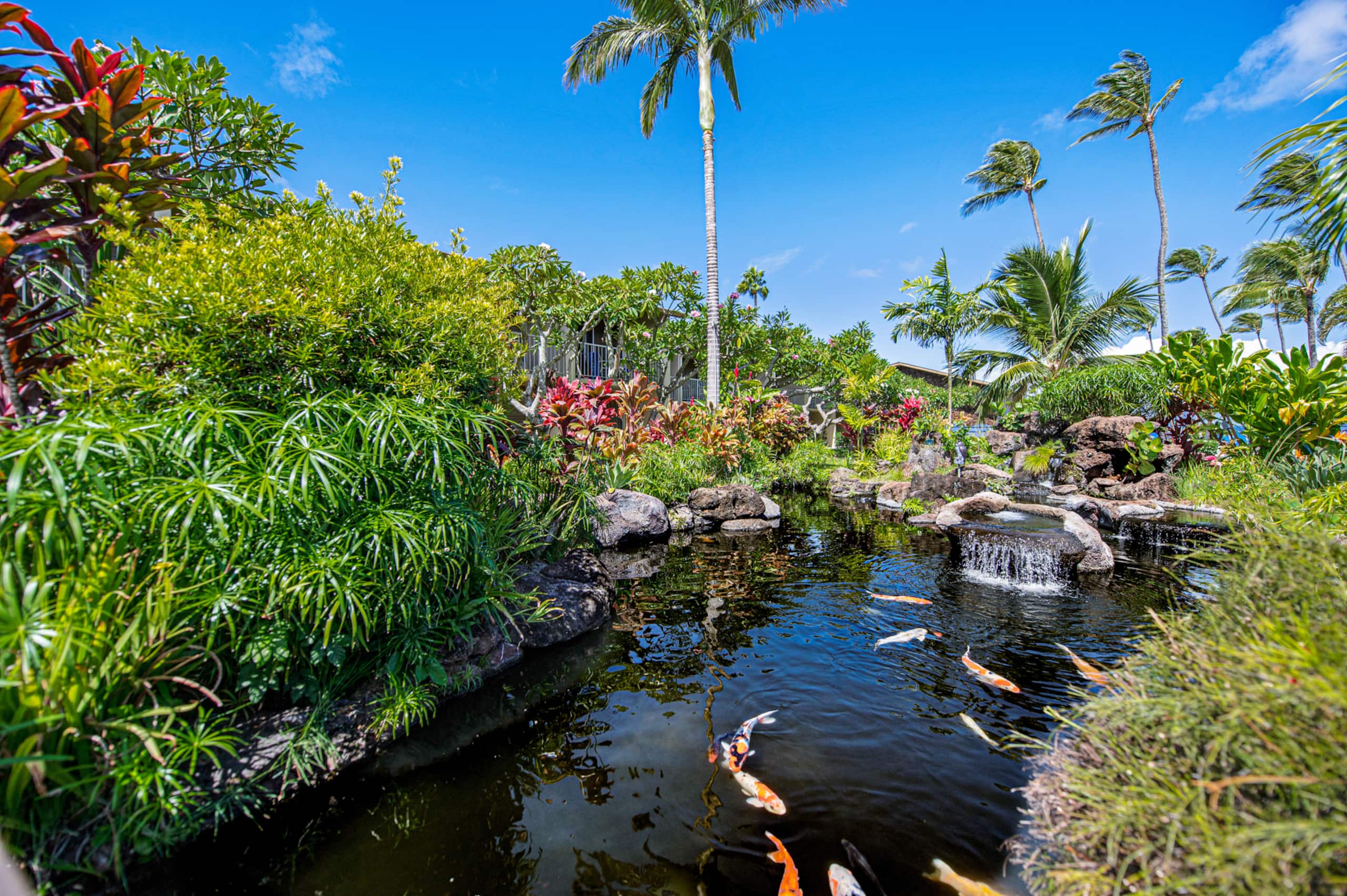 Condo in Lahaina · ★4.98 · Studio · 1 bed · 1 bath - Image 67