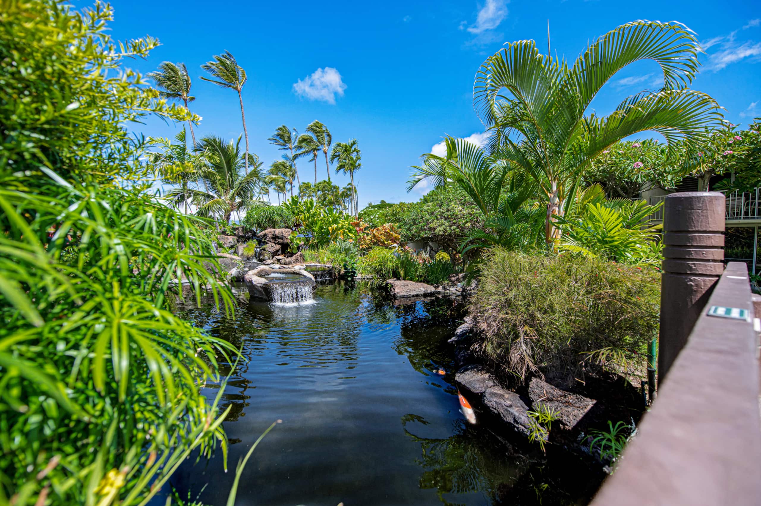 Condo in Lahaina · ★4.98 · Studio · 1 bed · 1 bath - Image 66
