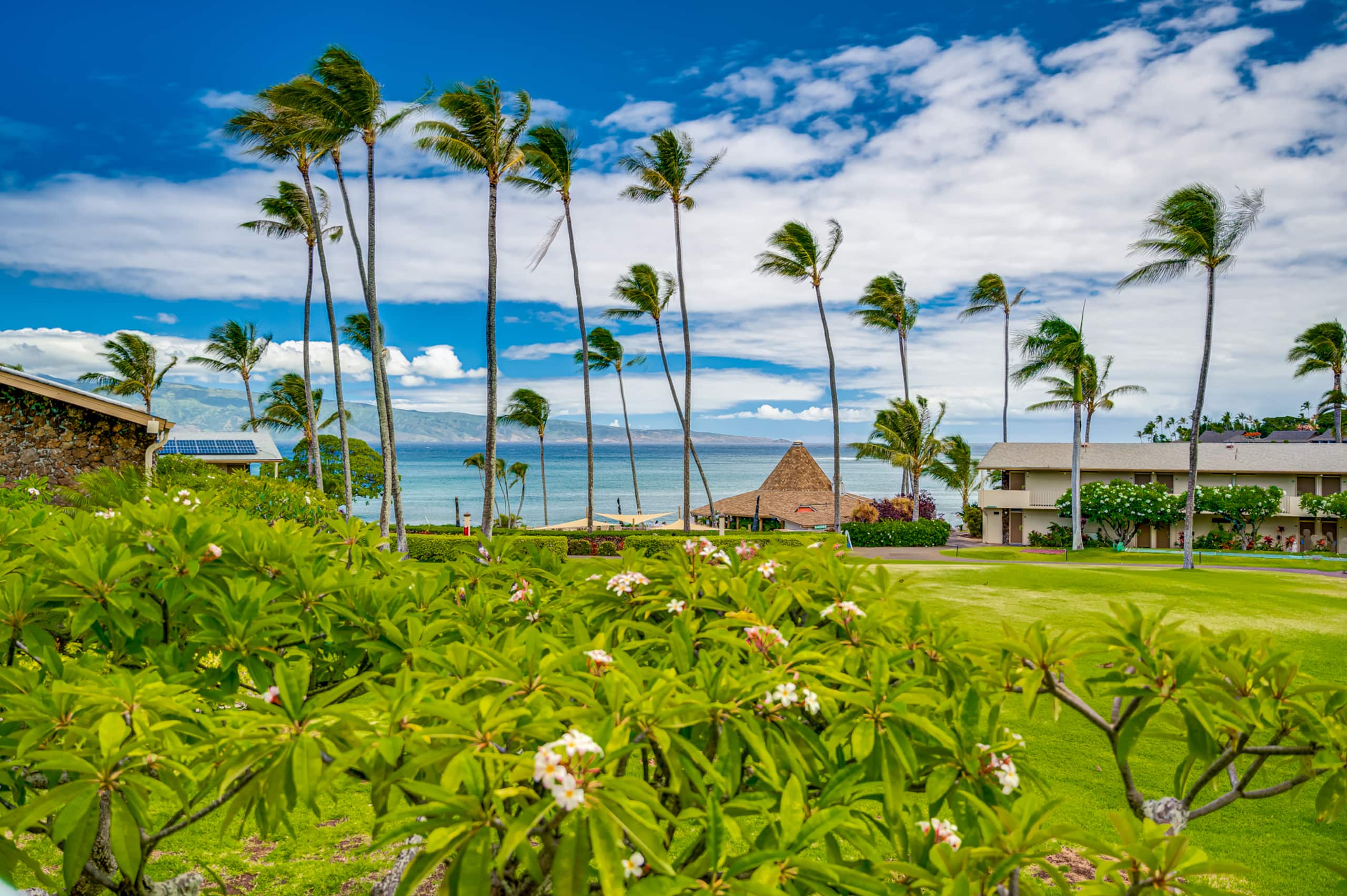 Condo in Lahaina · ★4.98 · Studio · 1 bed · 1 bath - Image 28