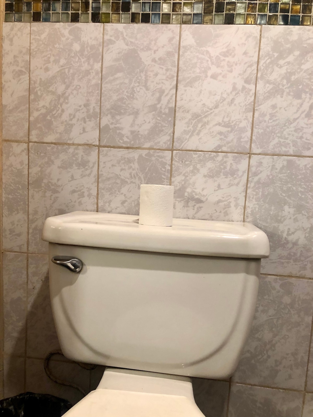 A white toilet is positioned in a tiled bathroom, with a roll of paper placed on its tank. The wall features a mix of light and dark tiles, adding subtle visual interest to the space.