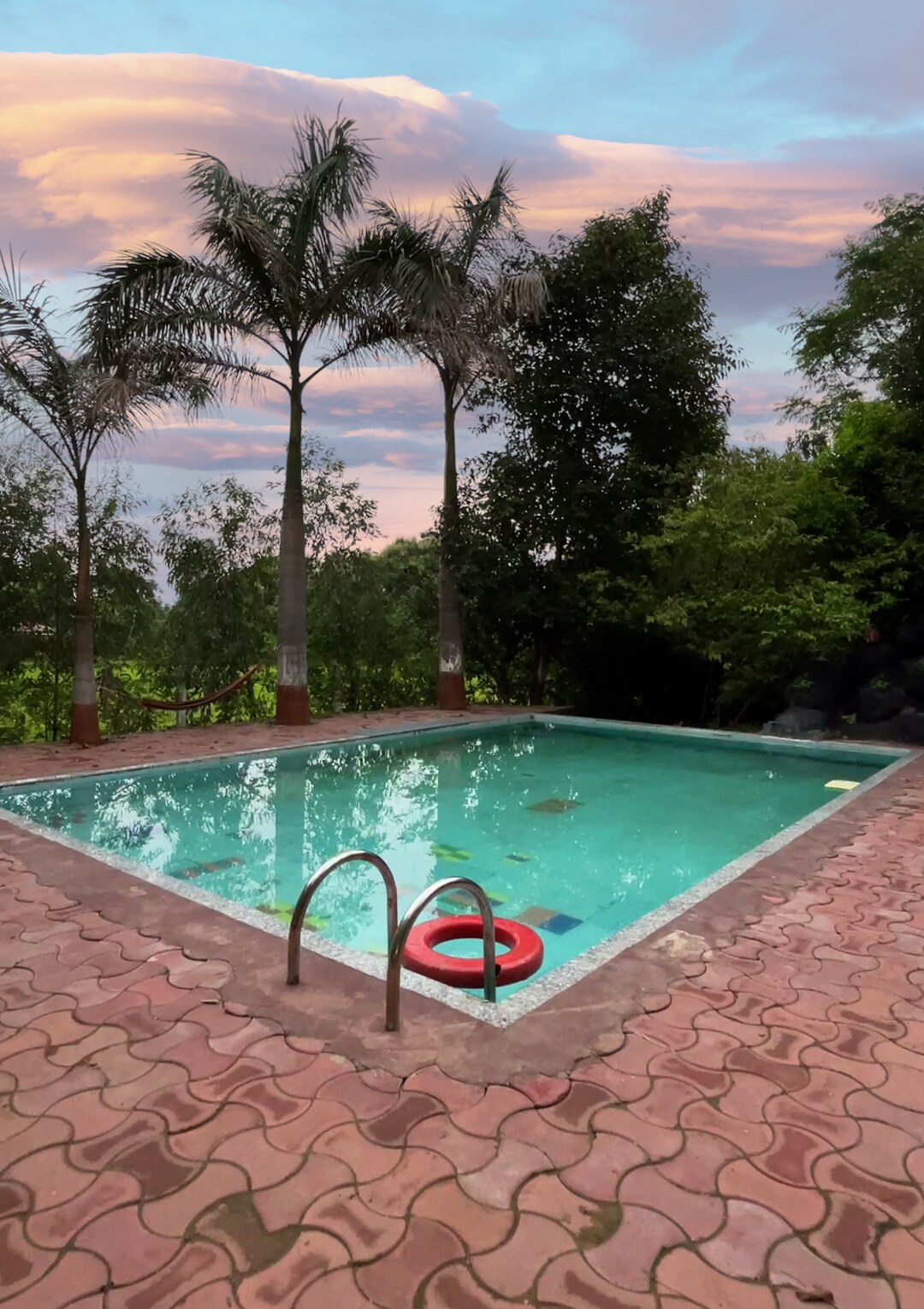 A rectangular swimming pool is framed by palm trees and lush greenery. The water appears calm, with a red lifebuoy resting at the pool's edge. A tiled deck surrounds the pool, contributing to a serene outdoor atmosphere.