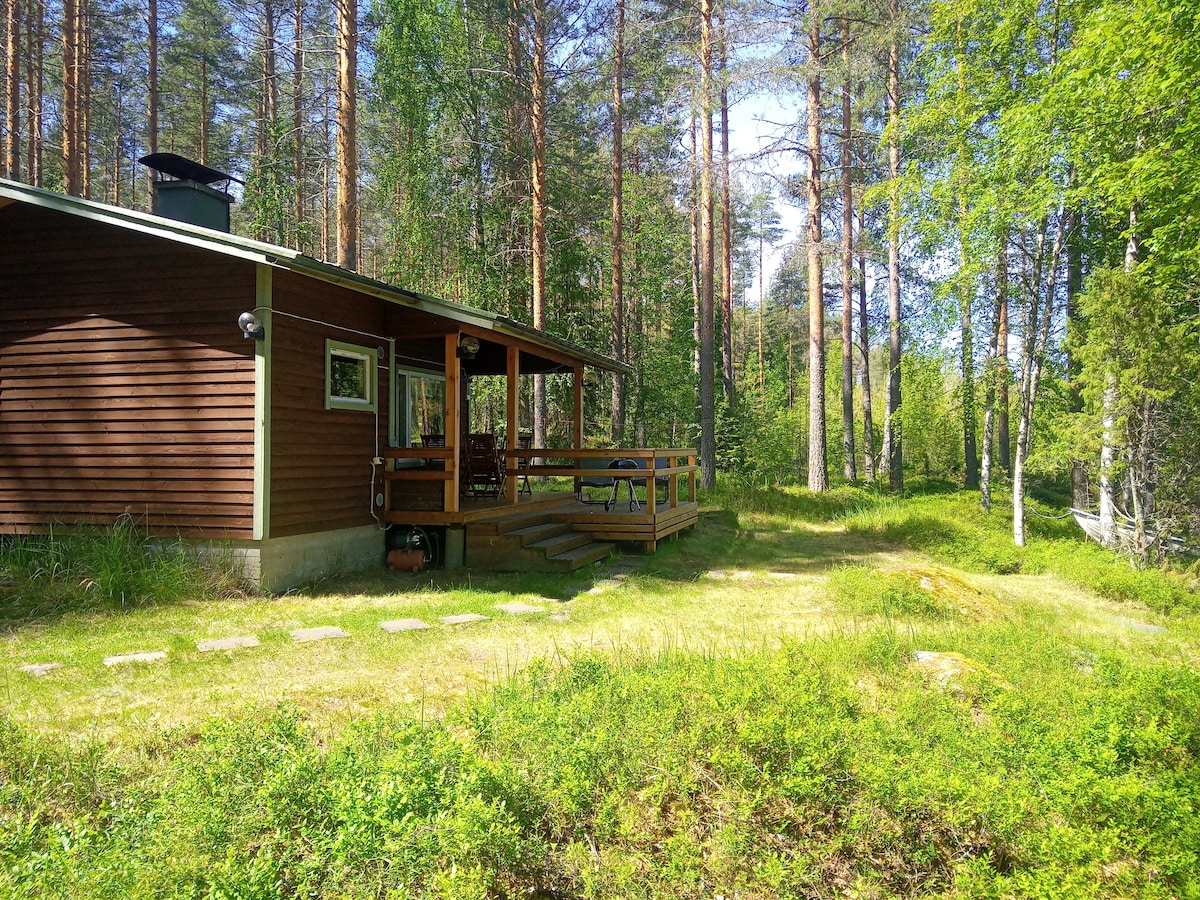 A wooden cottage is set within a natural landscape, surrounded by tall trees and lush greenery. A spacious deck features seating arrangements that overlook the tranquil surroundings. The pathway is lined with stones leading to the entrance, blending harmoniously with the terrain.