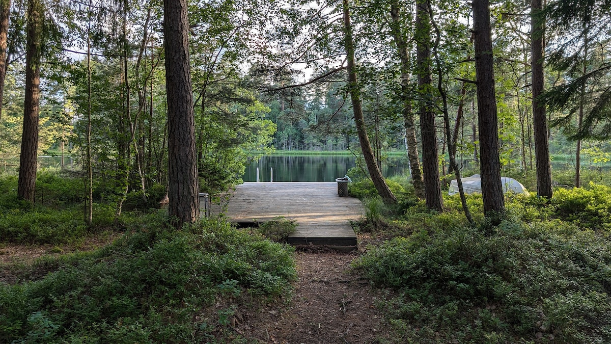 A wooden deck extends towards a calm lake, surrounded by tall trees. Lush greenery and underbrush frame the scene, creating a natural pathway leading to the water's edge. A quiet and serene atmosphere is established by the reflective surface of the lake.