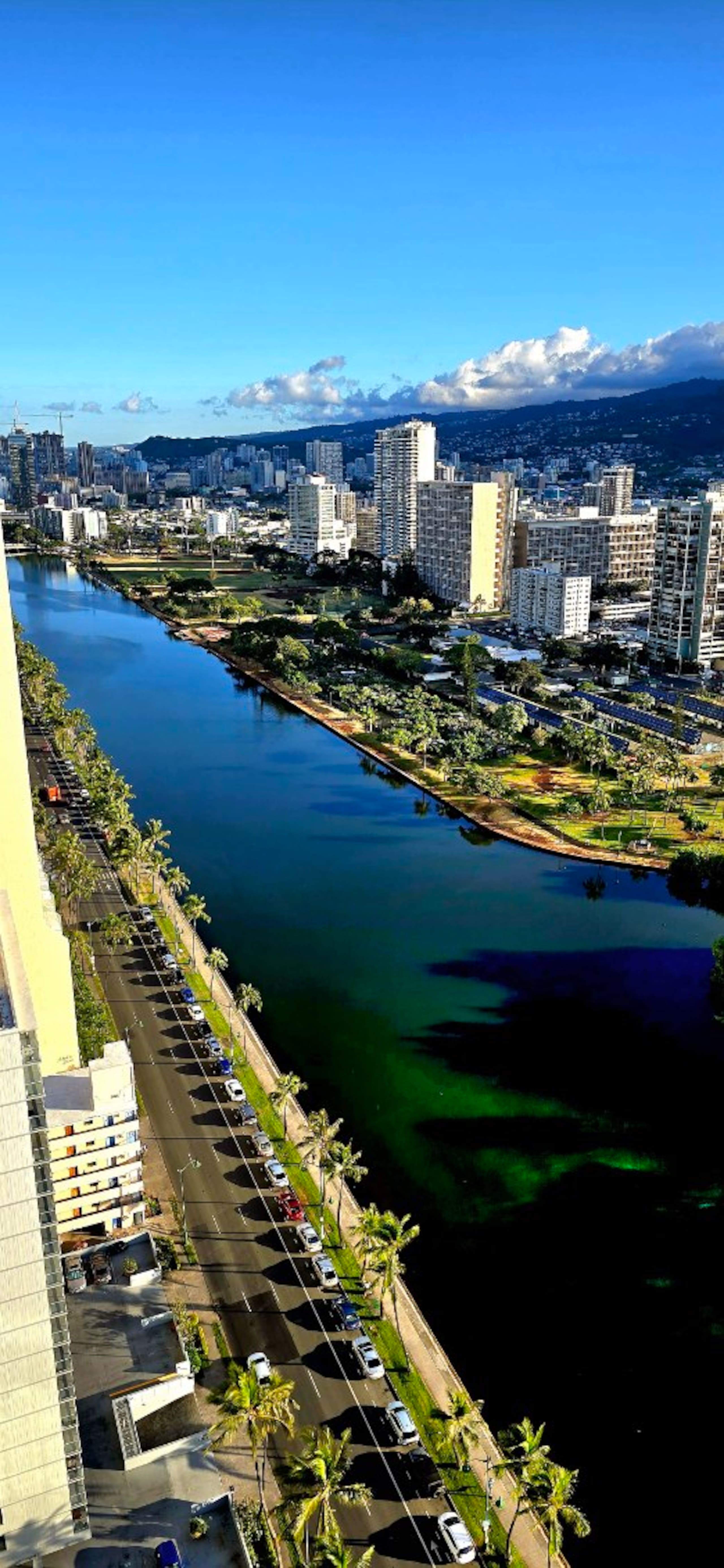 35FL-Upscale Fully Remodeled 1BR-Waikiki Beach~ - Image 53