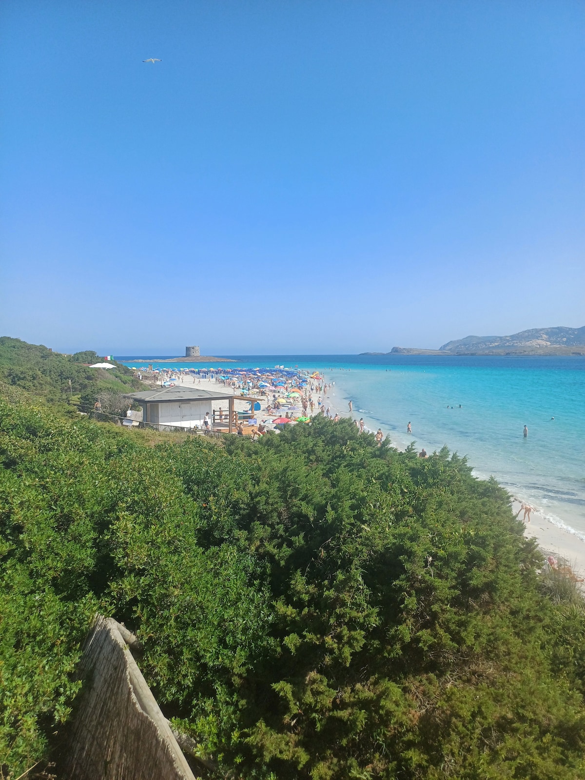 A vibrant beach scene unfolds under a clear blue sky. Colorful umbrellas dot the sandy shoreline, where visitors can be seen enjoying the sun and surf. Lush greenery frames the view, while a historical tower rises in the background, adding to the coastal charm.