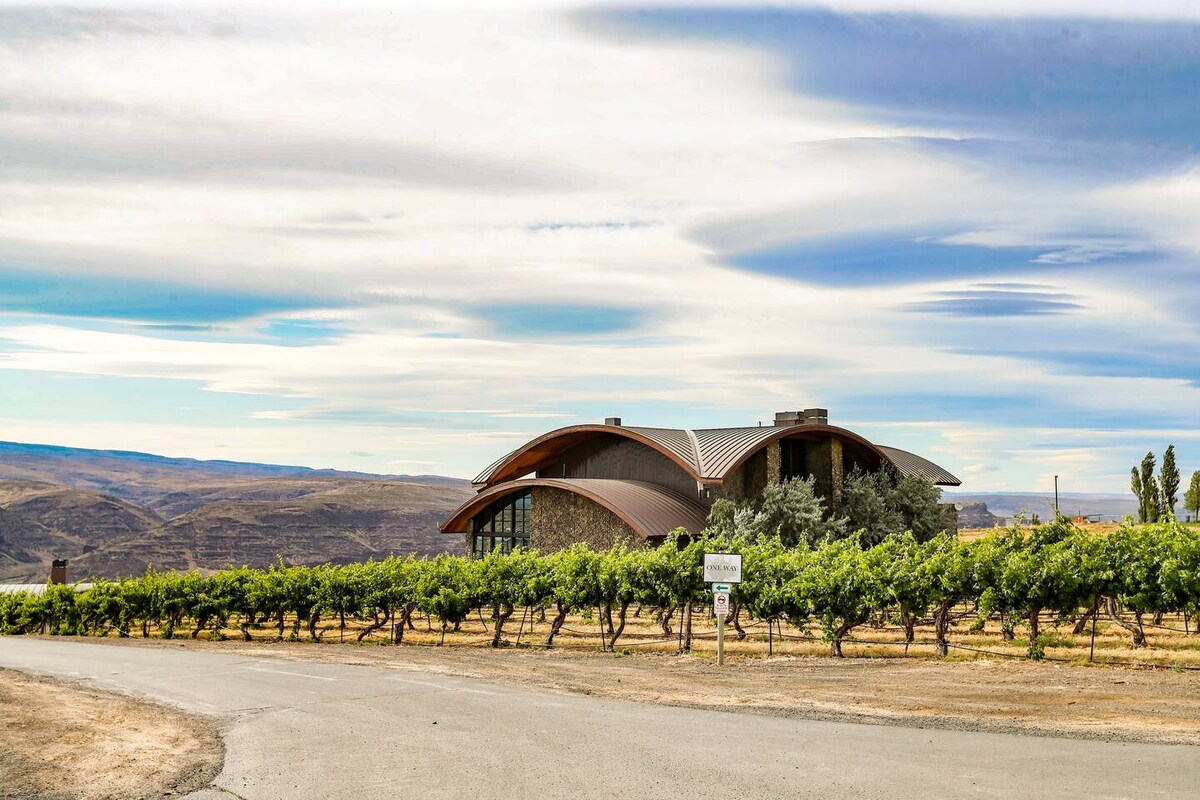 A modern structure with a curved roof sits adjacent to a vineyard, showcasing large glass windows that reflect the surrounding landscape. Rows of lush grapevines extend along the road, complemented by a backdrop of rolling hills and a cloudy sky.